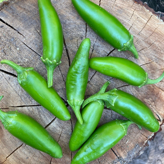 Ají Jalapeño